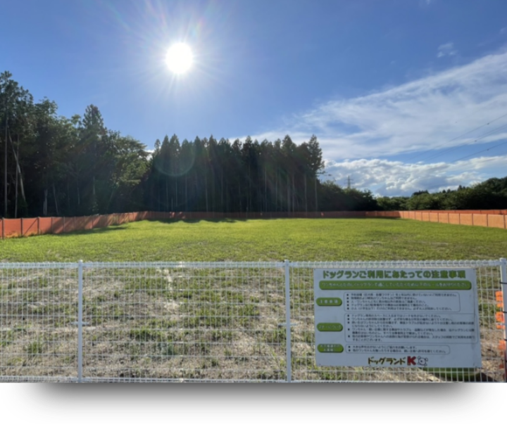 ドッグラン写真