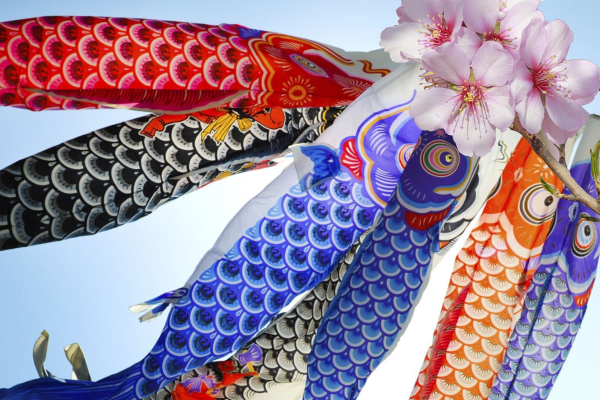 クレーンリース